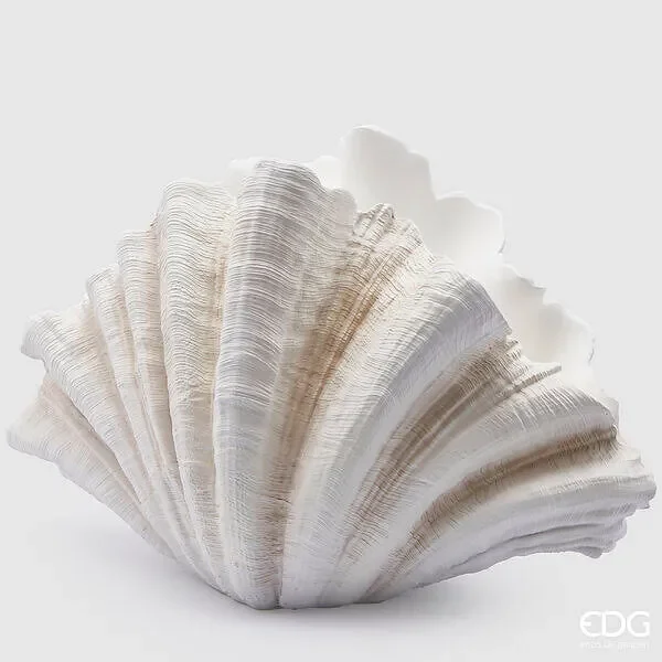 EDG Enzo De Gasperi Vaso Conchiglia H 36 Cm L 57 Cm L 31 Cm Colore Bianco