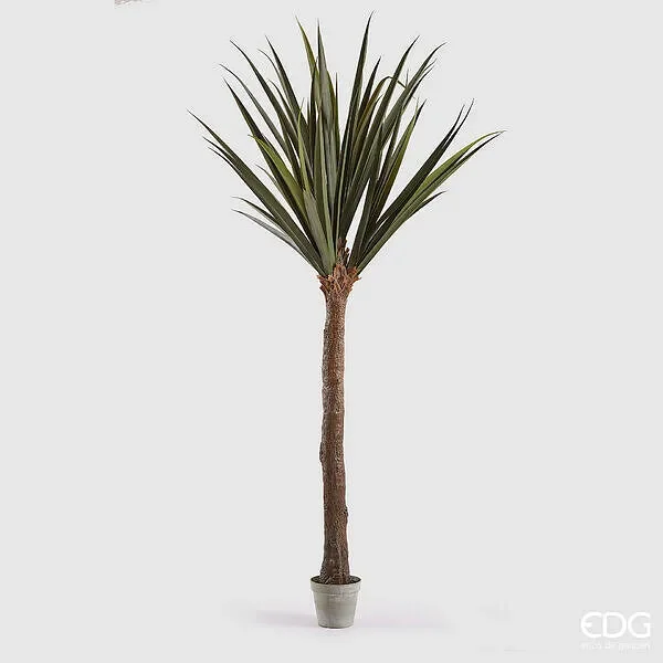 EDG Enzo De Gasperi Yucca con Vaso H 254 Cm Colore Verde