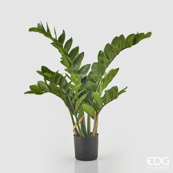 EDG Enzo De Gasperi Zamifolia 11 Rami con Vaso H 110 Cm Green