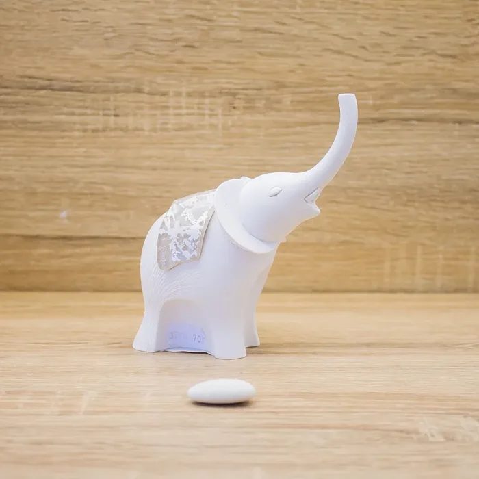 Elefante Bianco, Corazza Tortora Lully Argenti