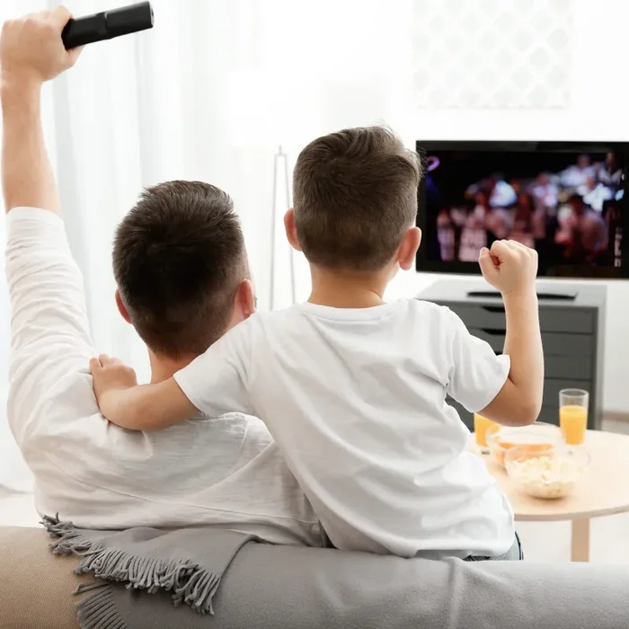 EMOS Antenna interna ed esterna Village, antenna attiva universale per ricezione remota (0-80 km) di DVB-T2, DAB, FM, Full HD, con filtro di blocco LTE integrato, filtro 4G, 5G e amplificatore - immagine 2