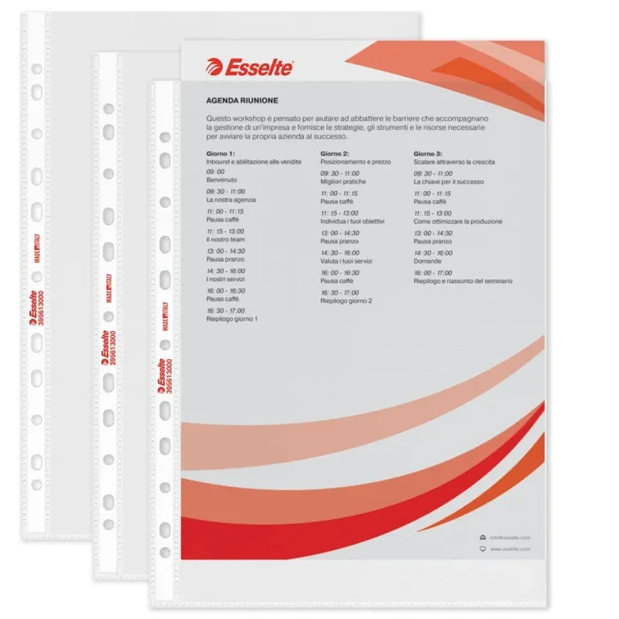 Esselte Buste Perforate Standard, in PPL Antiriflesso, per Archiviare e Conservare Documenti in Formato A4, Confezione da 100 Buste, 395613000