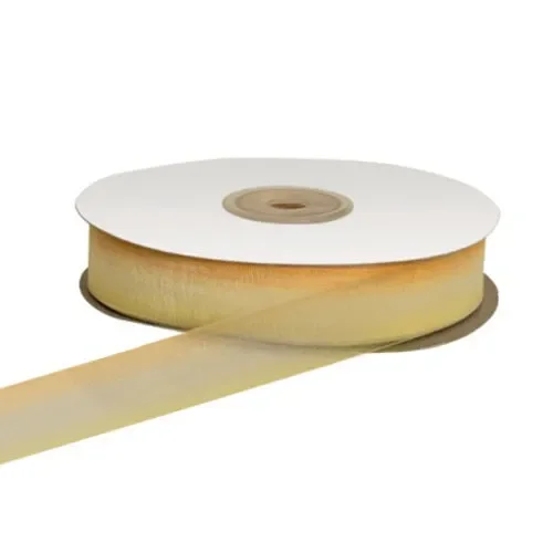 ETM Nastro Organza Bicolore 20 Mm 50 Mt Arancione Giallo