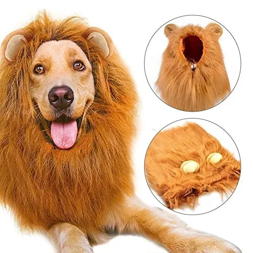 Etpark Cane Pet Costume, Grande Medio Regolabile Parrucca leone marrone