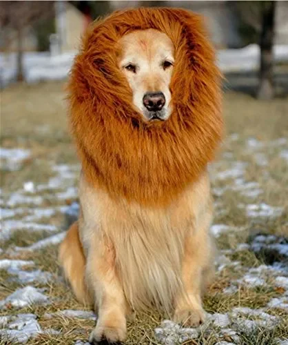 Etpark Cane Pet Costume, Grande Medio Regolabile Parrucca leone marrone - immagine 2