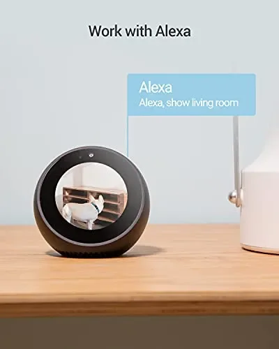 EZVIZ C6N Telecamera Wi-Fi Interno 1080p Videocamera Sorveglianza Interno Pan/Tilt/Zoom Compatibile con Alexa, Rotazione a 360°, Visione Notturna, Tracciamento del Movimento e Audio Bi-direzionale - immagine 2