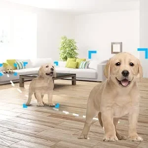 EZVIZ C6N Telecamera Wi-Fi Interno 1080p Videocamera Sorveglianza Interno Pan/Tilt/Zoom Compatibile con Alexa, Rotazione a 360°, Visione Notturna, Tracciamento del Movimento e Audio Bi-direzionale - immagine 3