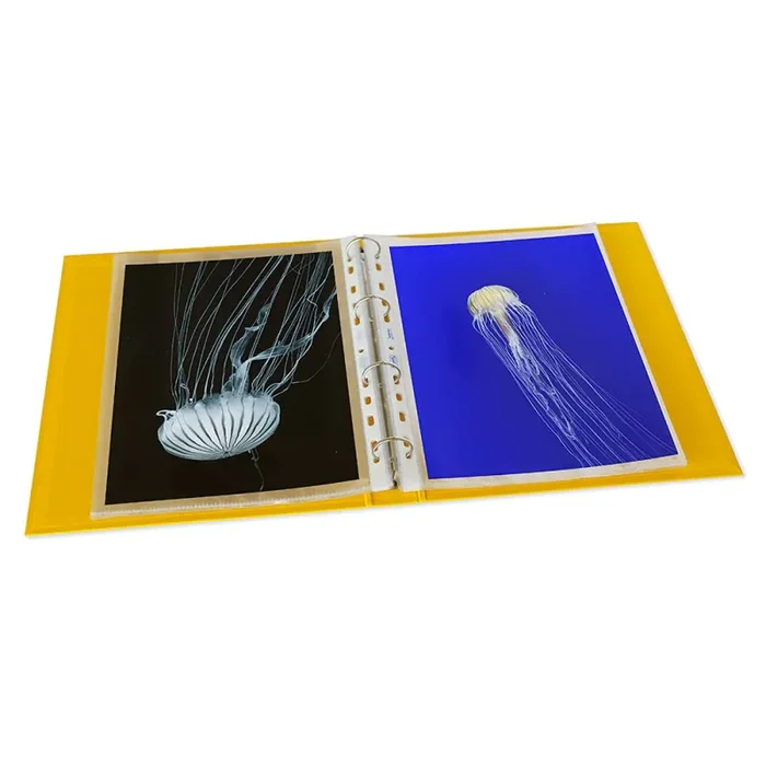 Favorit Raccoglitore, 22 x 30 cm, 4 Anelli Tondi da 30 mm, Giallo - immagine 2