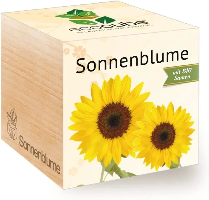 Feel Green Ecocube Margerite, Idea Regalo sostenibile (100% Eco Friendly), Grow Your Own/Set di Coltivazione, Piante nel Dado in Legno, Made in Austria