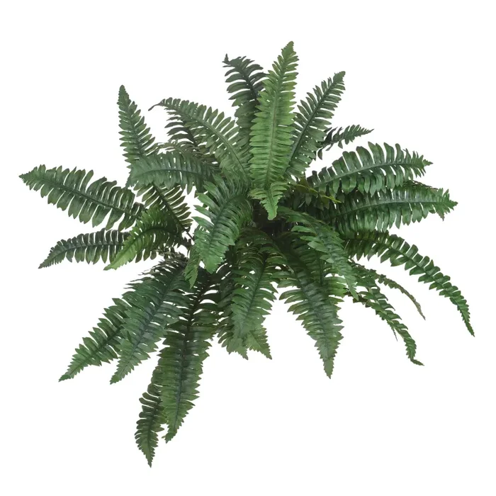 Felce Boston Artificiale Composta da 4 Gruppi e 49 Foglie Altezza 67 cm Verde Saldi