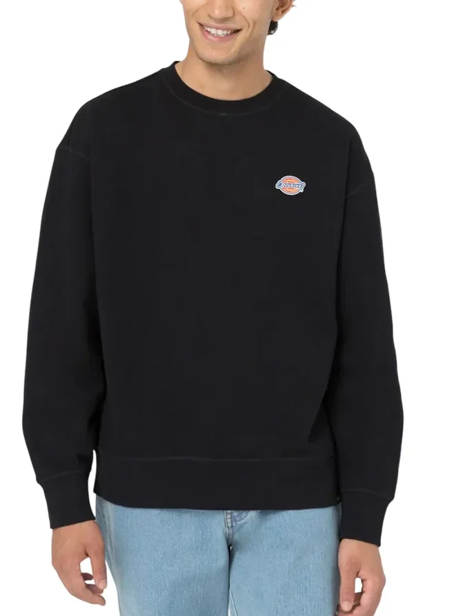 Felpa Uomo Dickies Art DK0A4YLZB