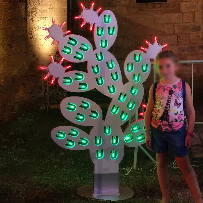 Fico d’India Grande - immagine 2