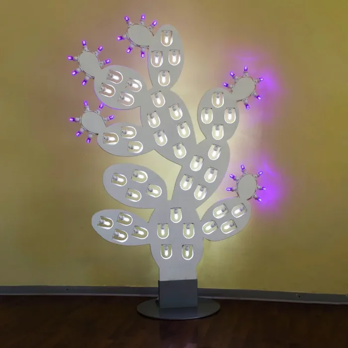 Fico d’India Grande - immagine 3