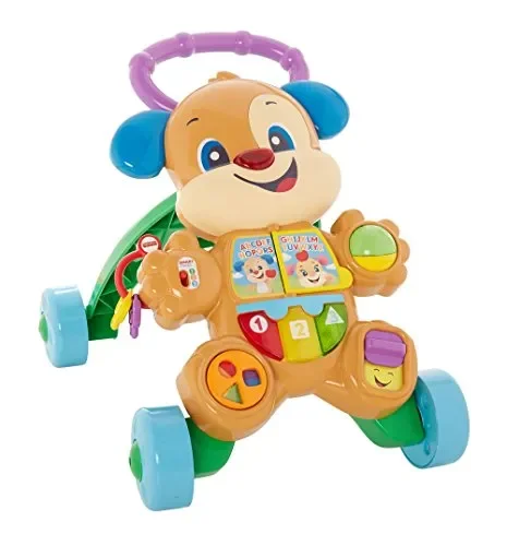 Fisher-Price FRC84 Cagnolino Primi Passi Spingibile, Giocattolo Elettronico…