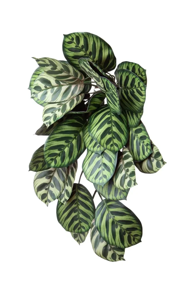 Foglie Artificiali Amaranta Vine 59 cm