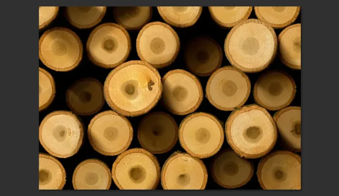 Fotomurale – Accanto Al Camino Carta Da Parato Erroi - immagine 2