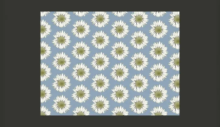 Fotomurale – Bianchi Girasoli Carta Da Parato Erroi - immagine 2