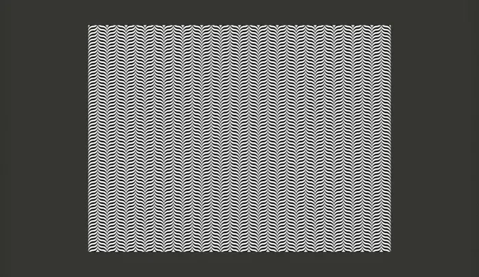 Fotomurale – Black-And-White Illusion Carta Da Parato Erroi - immagine 2