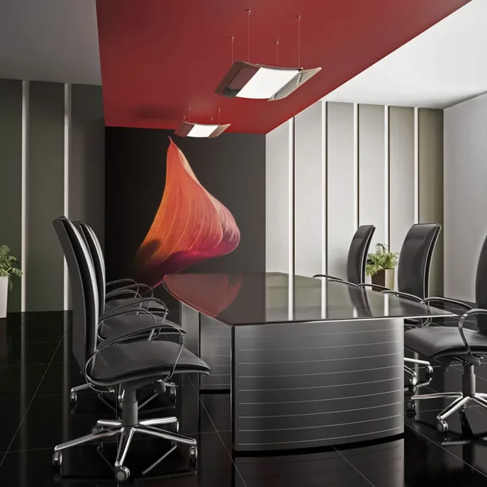 Fotomurale – Calla Giochi Di Ombre Carta Da Parato Erroi