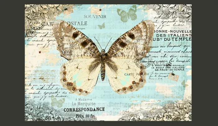 Fotomurale – Cartolina Con Farfalla Carta Da Parato Erroi - immagine 2