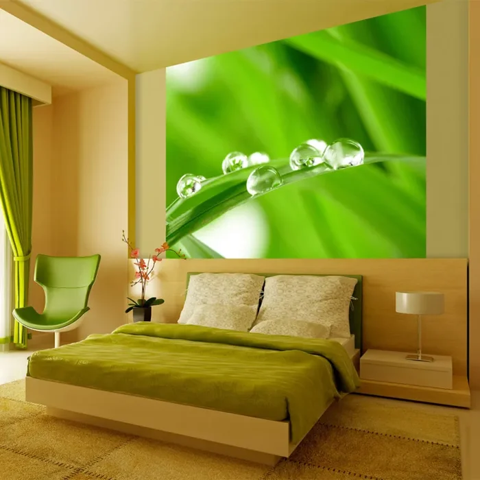 Fotomurale – Gocce D’Acqua Su Un Filo D’Erba Carta Da Parato Erroi