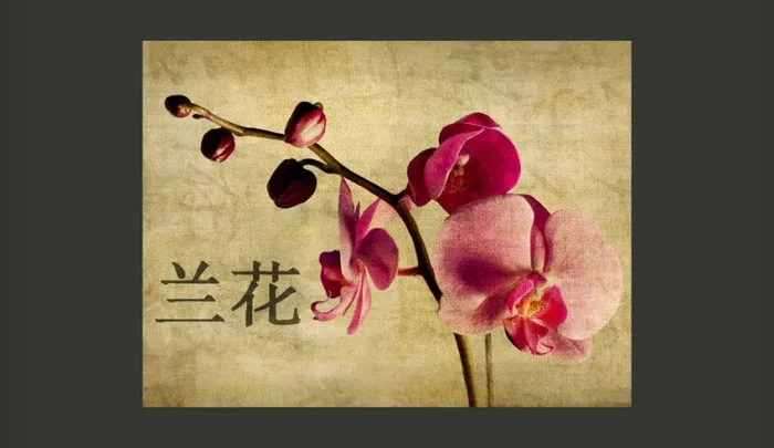 Fotomurale – Japanese Orchid Carta Da Parato Erroi - immagine 2