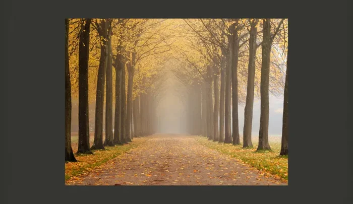 Fotomurale – Journey To The Unknown Carta Da Parato Erroi - immagine 2