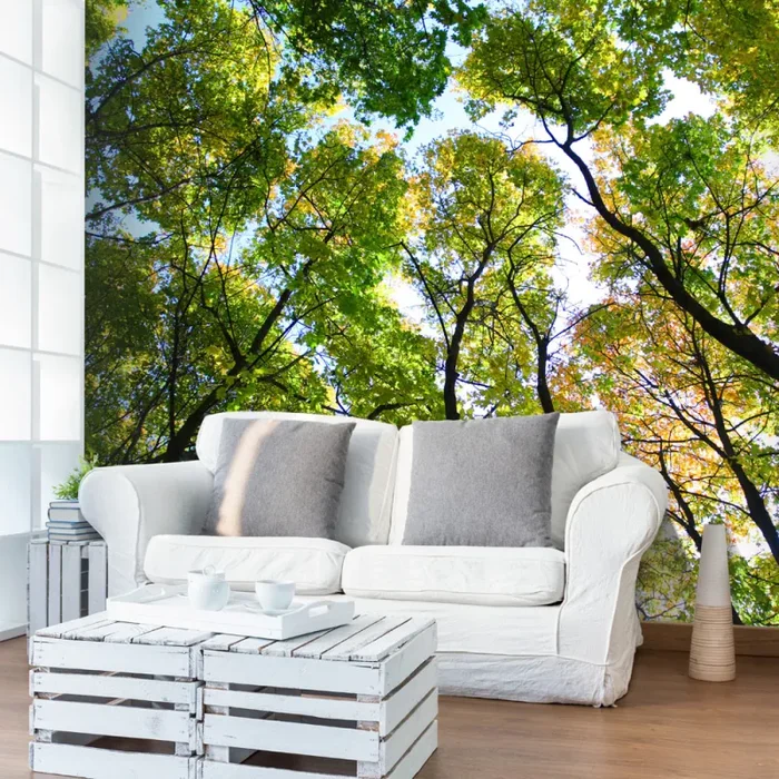 Fotomurale – Looking Up At The Trees Carta Da Parato Erroi