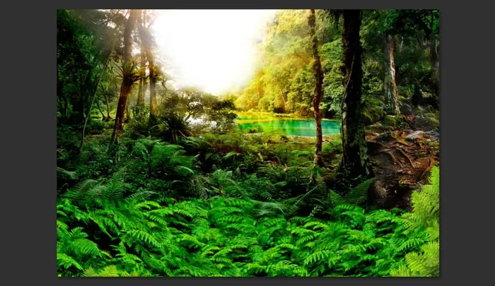 Fotomurale – Nei Tropici Carta Da Parato Erroi - immagine 2