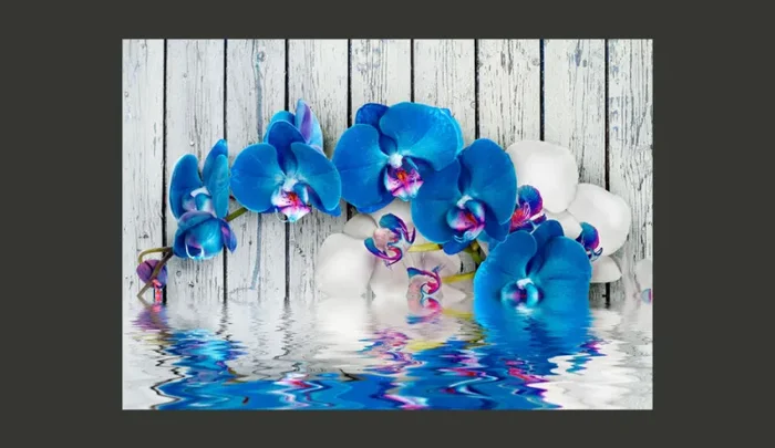 Fotomurale – Orchidea Cobalto Carta Da Parato Erroi - immagine 2