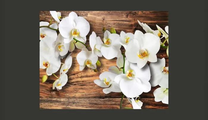 Fotomurale – Orchidee Nivee Carta Da Parato Erroi - immagine 2