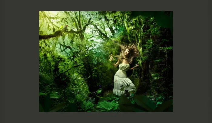 Fotomurale – Persa Nel Bosco Carta Da Parato Erroi - immagine 2