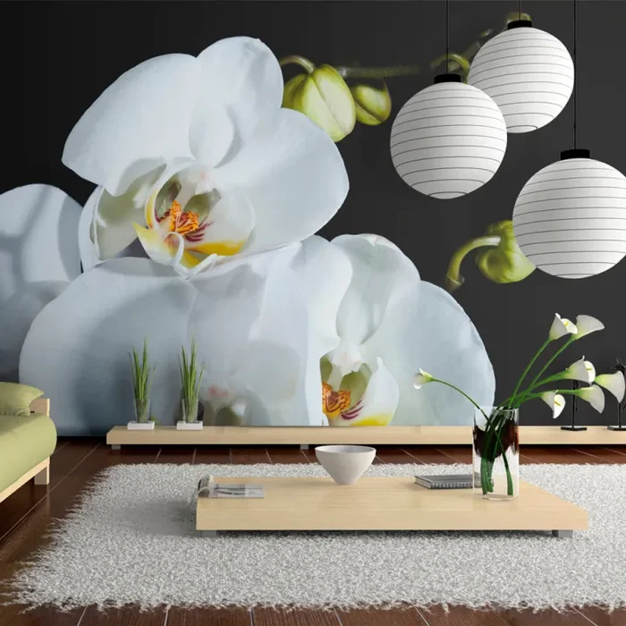 Fotomurale – Phalaenopsis Carta Da Parato Erroi