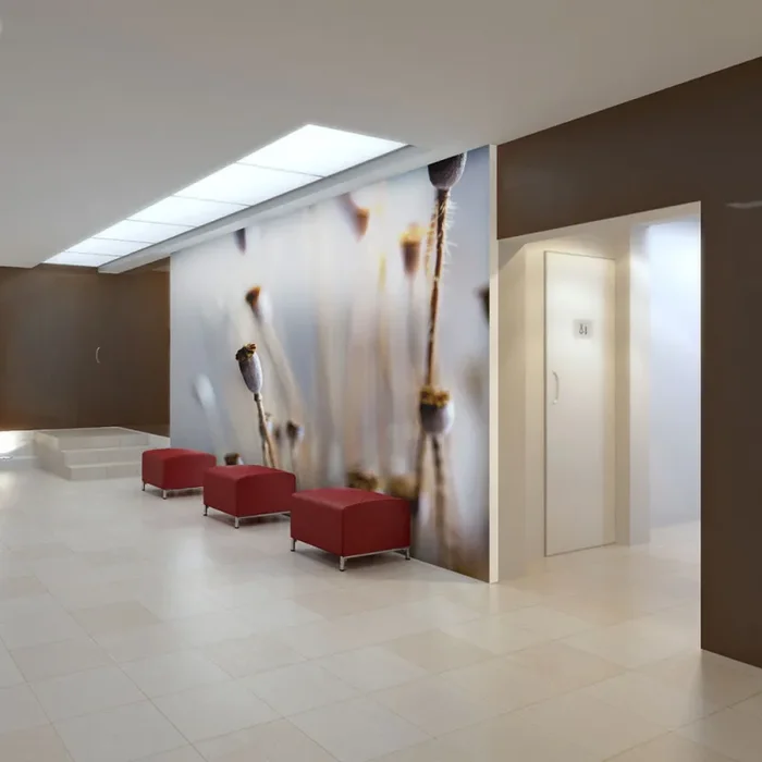 Fotomurale – Poppy Heads Carta Da Parato Erroi Online