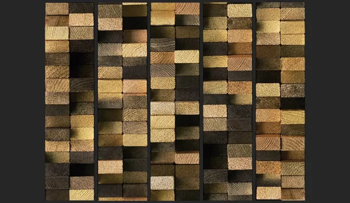 Fotomurale – Protected By The Wooden Weave Carta Da Parato Erroi - immagine 2