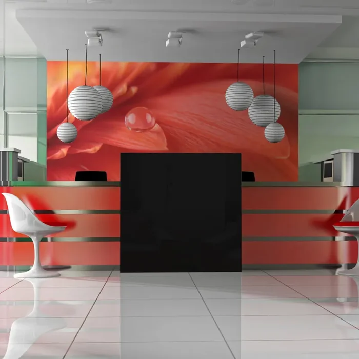 Fotomurale – Red Gerbera Carta Da Parato Erroi