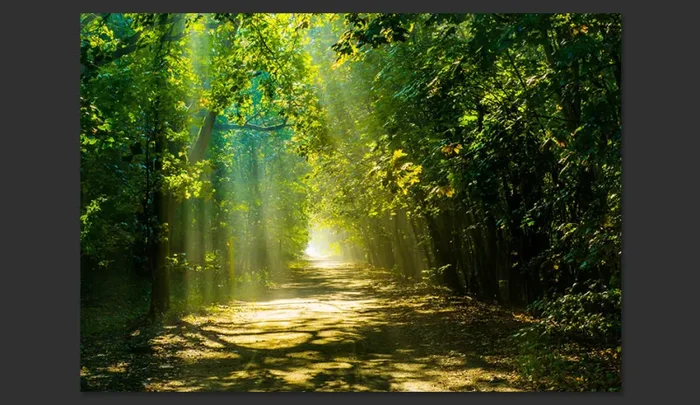 Fotomurale – Road In Sunlight Carta Da Parato Erroi - immagine 2