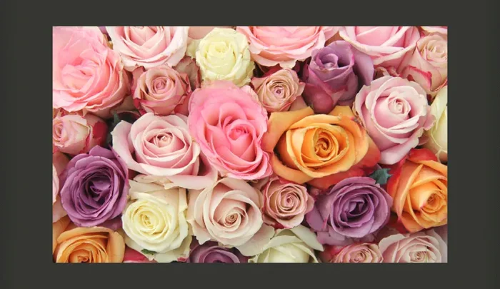 Fotomurale – Rose Pastello Carta Da Parato Erroi - immagine 2