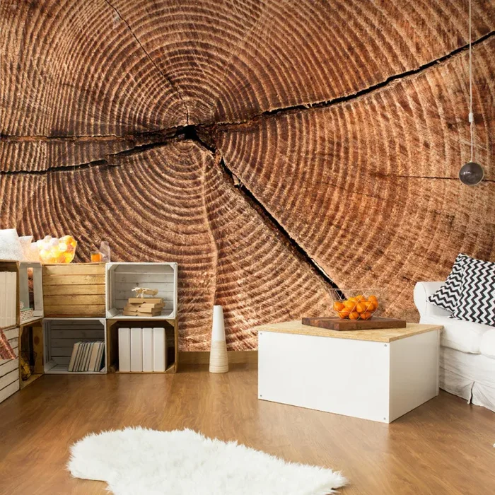 Fotomurale – Sezione Trasversale Di Un Tronco Carta Da Parato Erroi Online