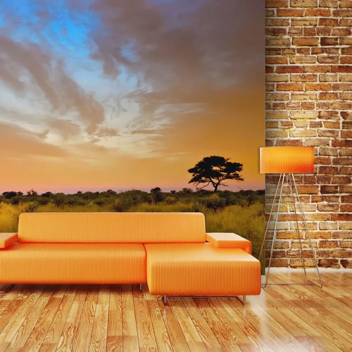 Fotomurale – South African Sunset Carta Da Parato Erroi