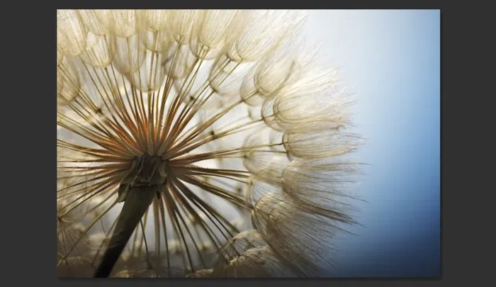 Fotomurale – Summer Delight Carta Da Parato Erroi Vendita calda - immagine 2