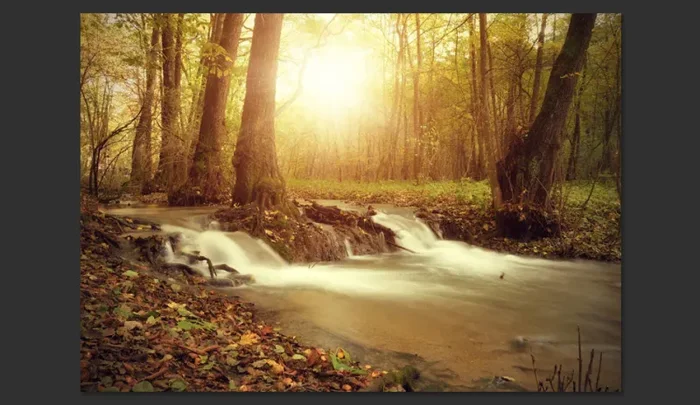 Fotomurale – Sunny Current Carta Da Parato Erroi - immagine 2