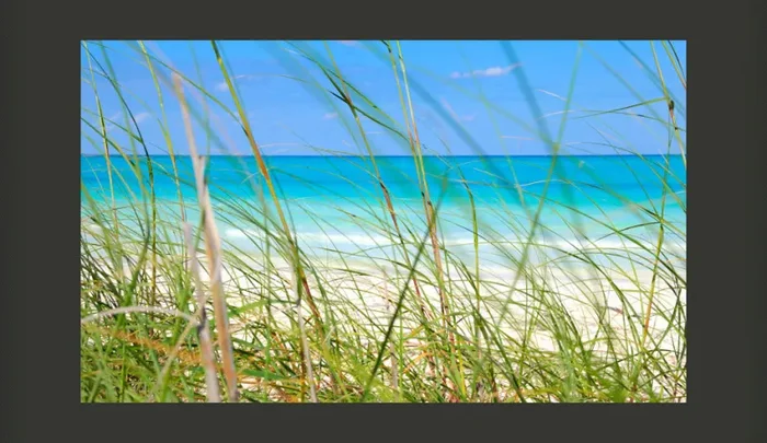 Fotomurale – Tropical Journey Carta Da Parato Erroi - immagine 2