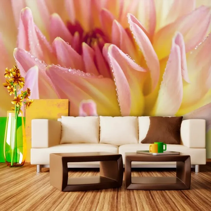 Fotomurale – Una Dalia Dai Colori Pastello Con Gocce Di Rugiada Carta Da Parato Erroi - immagine 3