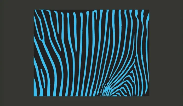 Fotomurale – Zebra Pattern Turchese Carta Da Parato Erroi Vendita online - immagine 2