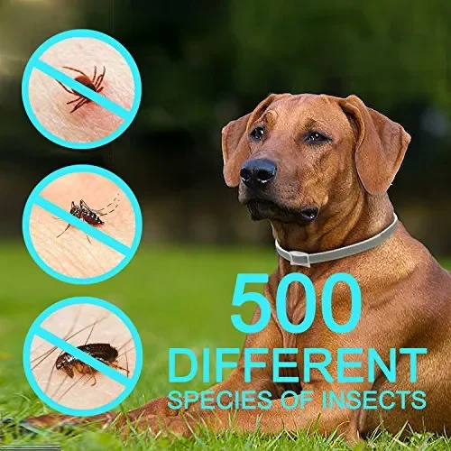 FRETOD Collare Antipulci per Cani e Gatti – 65cm Ajustable Collare… Moda - immagine 3