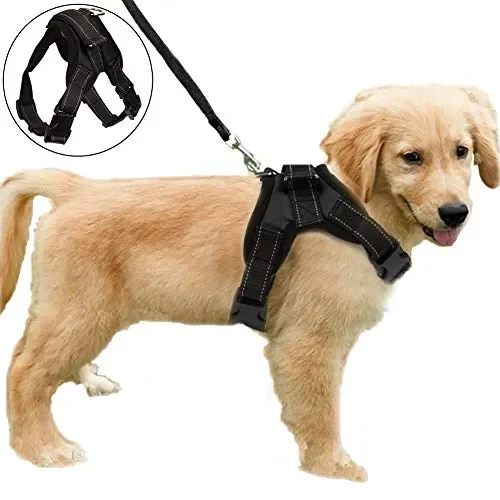 Funkeen, pettorina imbottita per cani senza tirare, regolabile, m, Nero