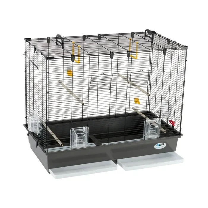 Gabbia per uccelli – Piano 6