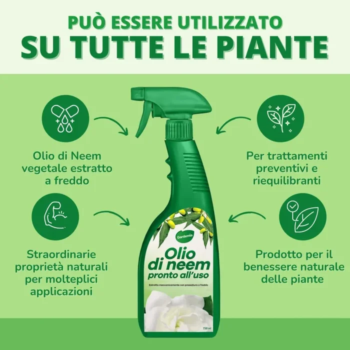 Gardemia Olio di Neem per Piante Spray 750ml Pronto Uso Repellente Naturale Contro Afidi Cocciniglia Ragnetto Rosso Zanzare Cimici Insetti, Valido Aiuto Contro Pidocchi, Alternativa Eco Ampio Spettro - immagine 2