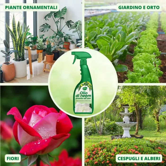 Gardemia Olio di Neem per Piante Spray 750ml Pronto Uso Repellente Naturale Contro Afidi Cocciniglia Ragnetto Rosso Zanzare Cimici Insetti, Valido Aiuto Contro Pidocchi, Alternativa Eco Ampio Spettro - immagine 3